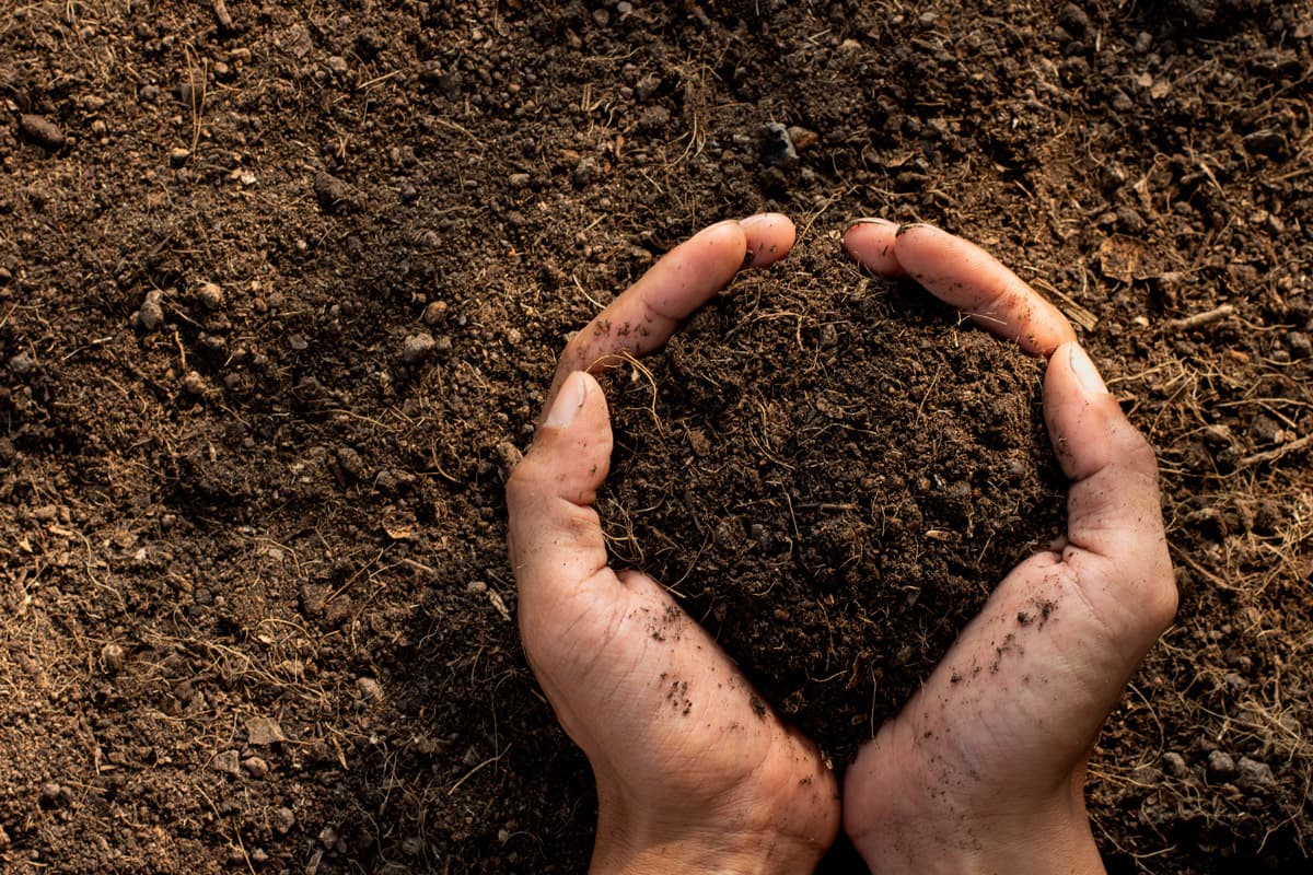 Top soil